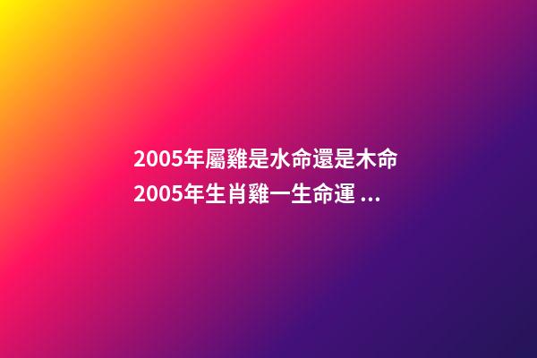 2005年屬雞是水命還是木命 2005年生肖雞一生命運 2005年屬雞是什么命-第1張-觀點-玄機派
